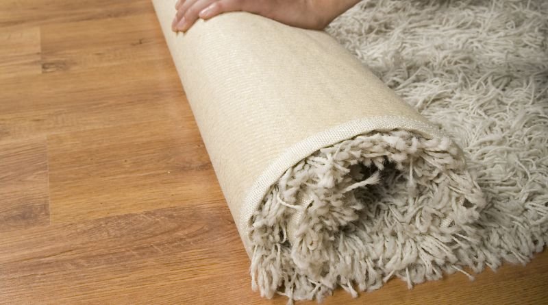 How To Spot Clean Rugs