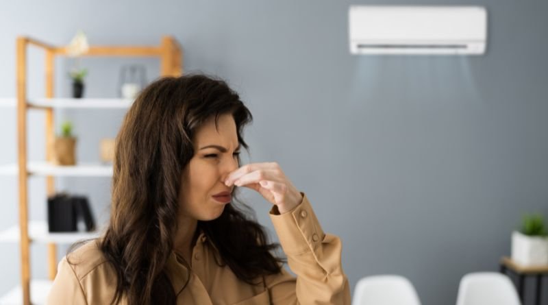Your Guide to Eliminating Common Home Odors