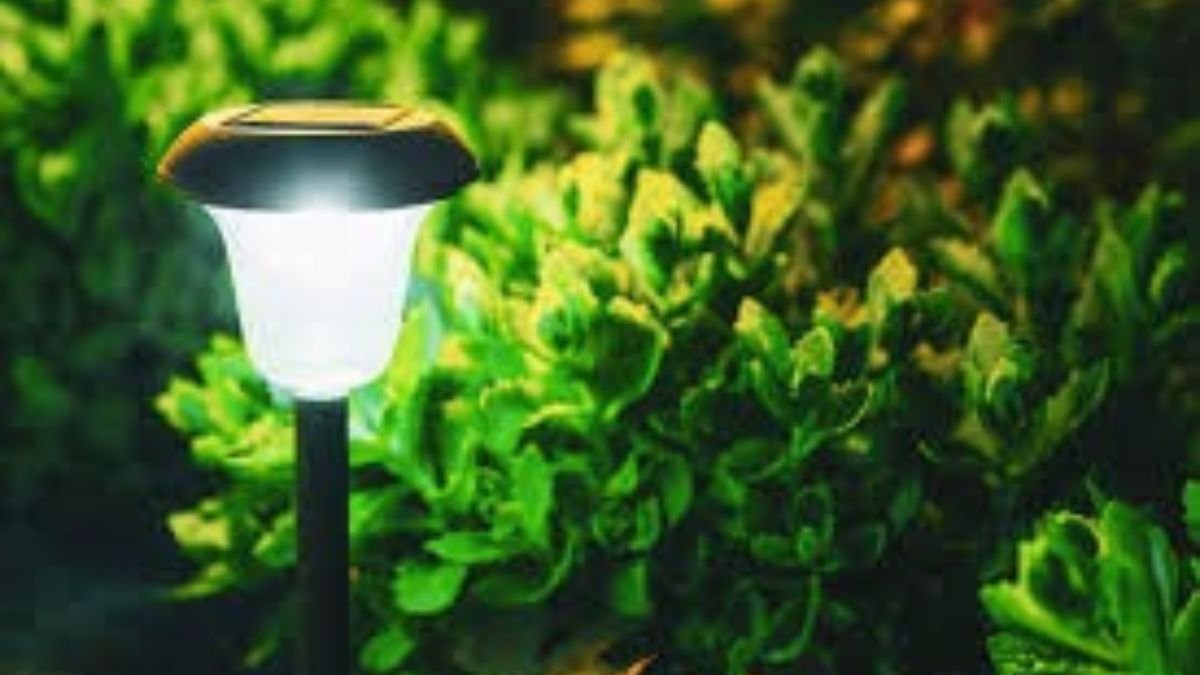 Choosing the Best Outdoor Solar Lights