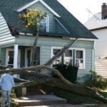 The Overlooked Materials in Arlington Homes That Suffer Most After Water Cleanup Delays