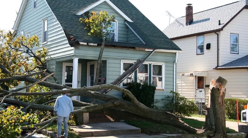 The Overlooked Materials in Arlington Homes That Suffer Most After Water Cleanup Delays