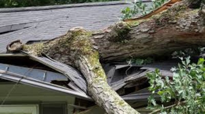 What to Do After a Storm Damages Your Siding